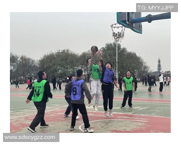 偶像万万岁篮球小班的青春梦想与拼搏精神展现之旅