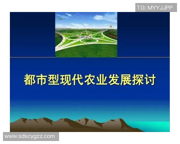 室内篮球馆管理制度的完善与实施方案探讨与建议