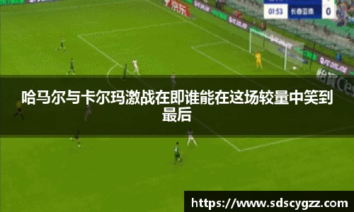 哈马尔与卡尔玛激战在即谁能在这场较量中笑到最后